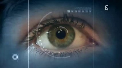 Un Humain Presque Parfait