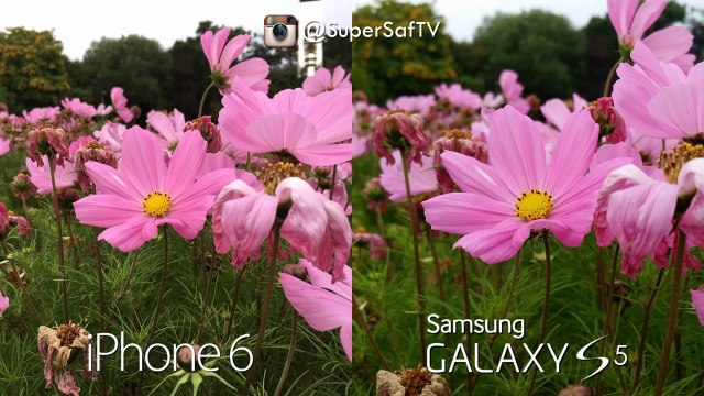 iPhone 6 vs Samsung Galaxy S5 - Hands-on_2