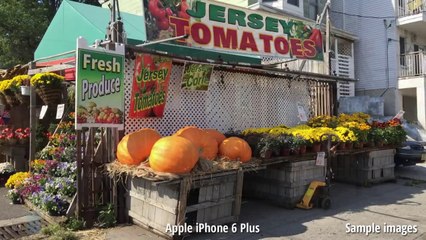 Apple iPhone 6 Plus vs LG G3_2