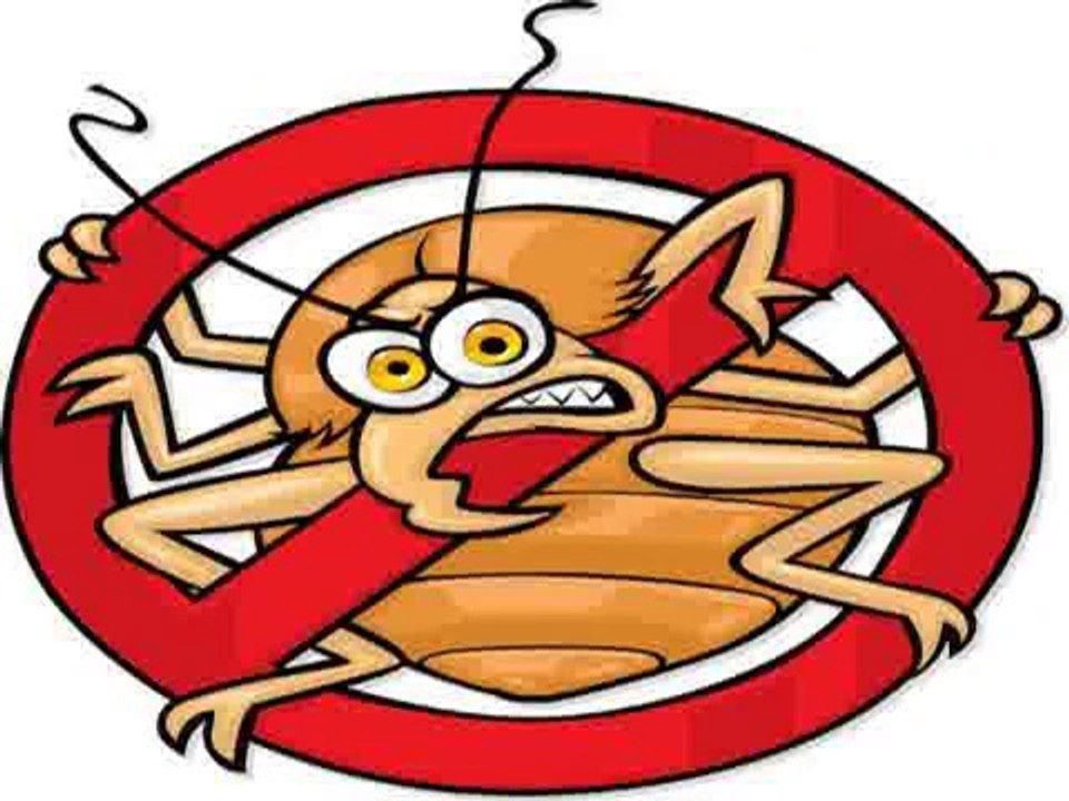 Bed Bug Control Guide