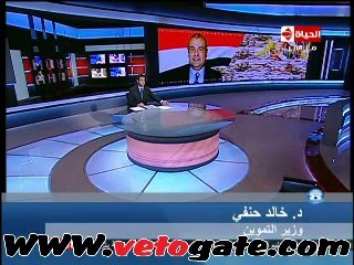 حنفى: تصدير الأرز لعام واحد فقط ولن يتكرر