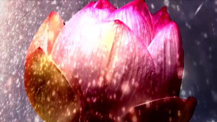 notes on the ineffable top