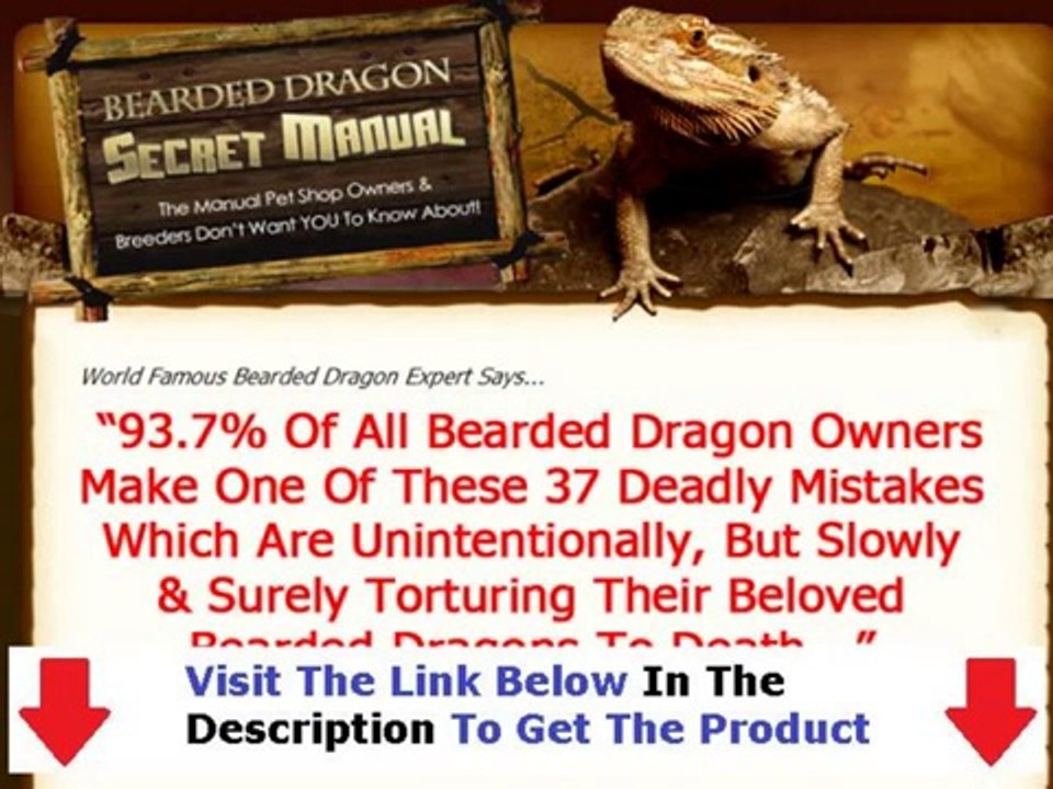 Bearded Dragon Secret Manual Review + Discount Link Bonus + Discount