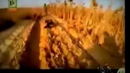 Tom Waits: Road To Peace