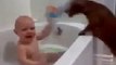 Funny Videos Funny Clips Funny Pranks Child Funny video with dogs - Tune.pk[via torchbrowser.com]