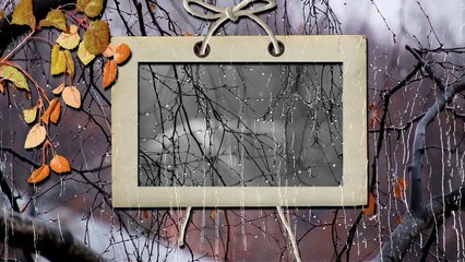 Осенний  Дождь