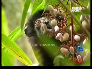 Be The Creature 18th October 2014 Video Watch Online pt2