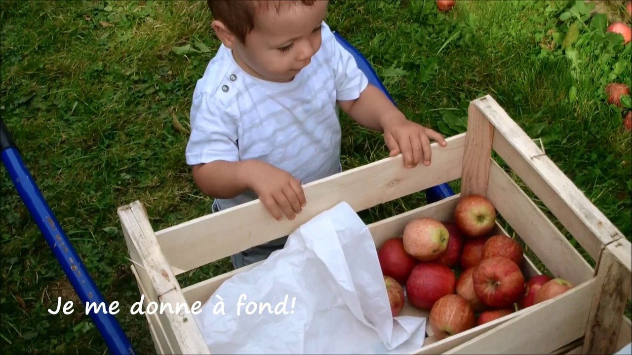 Maxime et Boris de 19 à 20 mois (Version Longue)