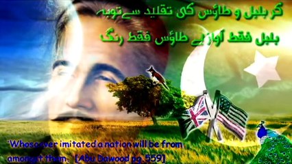 Pakistan need Iqbal in crisis & confusion