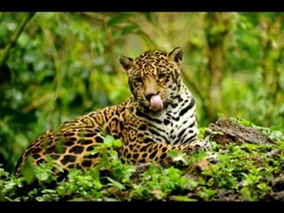 55 - COISAS NOVAS E COISAS VELHAS