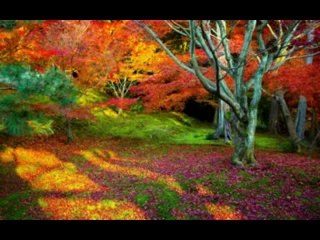 58 - A MULTIPLICAÇÃO DOS PÃES