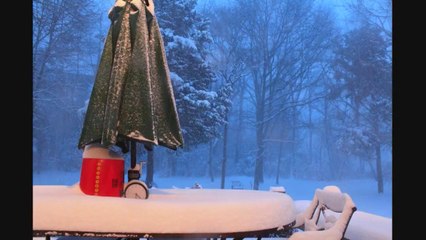 Chute de neige en timelapse