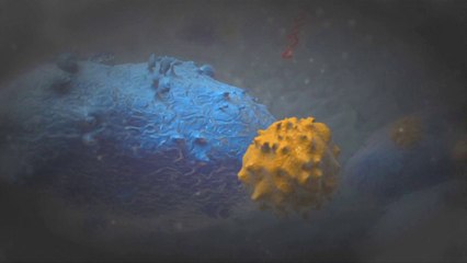 كيف يهاجم فيروس ايبولا جسم الانسان