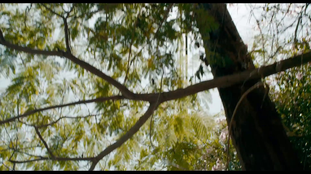 The Sessions: Trailer HD