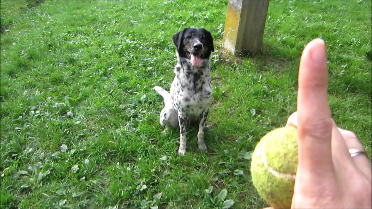 Rafiki, Refuge des Clochards Poilus