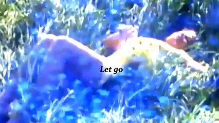 My Twin Soul - Christophe Bay