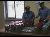 Caserta - Marijuana in barattoli, arrestato 20enne casertano (18.10.14)