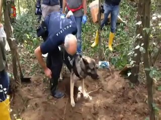 Vicenza - Ritrovamento cadaveri con cani molecolari (18.10.14)