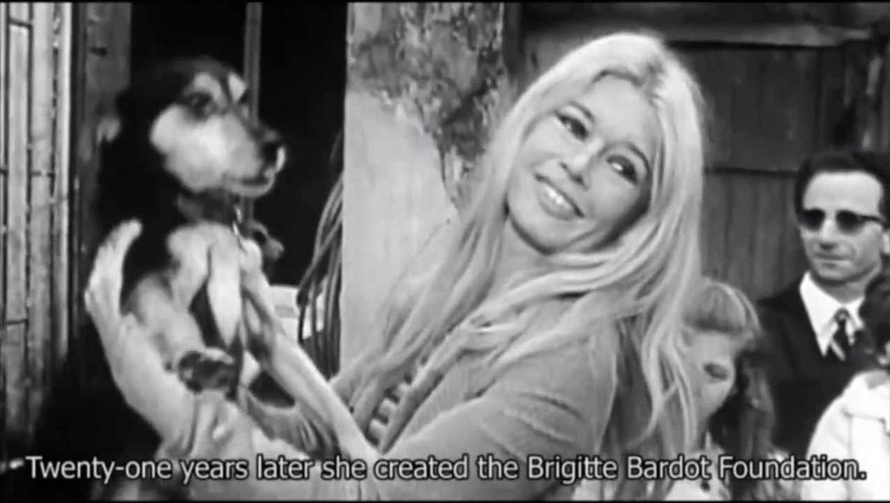 Brigitte Bardot interviews-Présentation de la Fondation Brigitte Bardot (Subtitles in English)