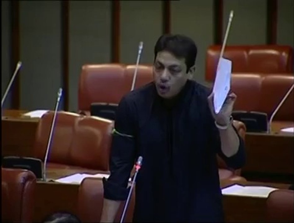Last powerfull speach of faisal raza abidi