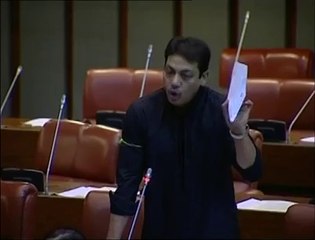 Last powerfull speach of faisal raza abidi