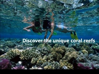 Dolphin House Marsa Alam Tours