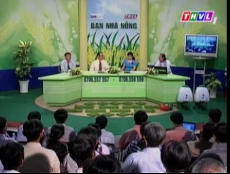 Dinh dưỡng cho vườn cây ăn trái trong giai đoạn nuôi trái non (phần 2) - nghenong.com