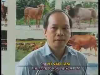 ĐỊNh hƯỚng chĂn nuÔi bÒ thỊt - nghenong.com