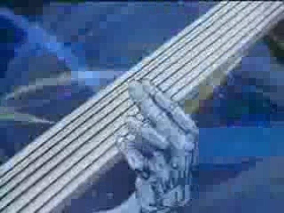 Silverhawks