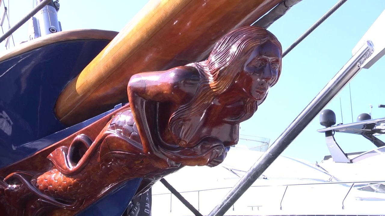 Hollywood-veteran martin sheen leiht tierschützern seinen namen