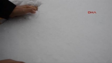 Palandöken Beyaz Gelinliğini Giyindi