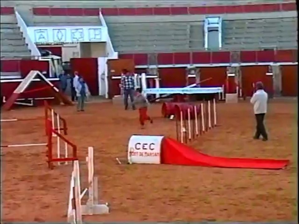 prapra dax j