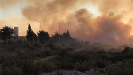 Didim'de 300 Dekar Alan Yandı