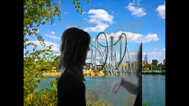 My own Live While We're Young (One Direction Orlando)