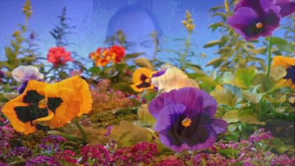 tere te bharosa yesu