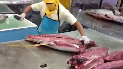 Ton Balığı Nasıl Doğranır