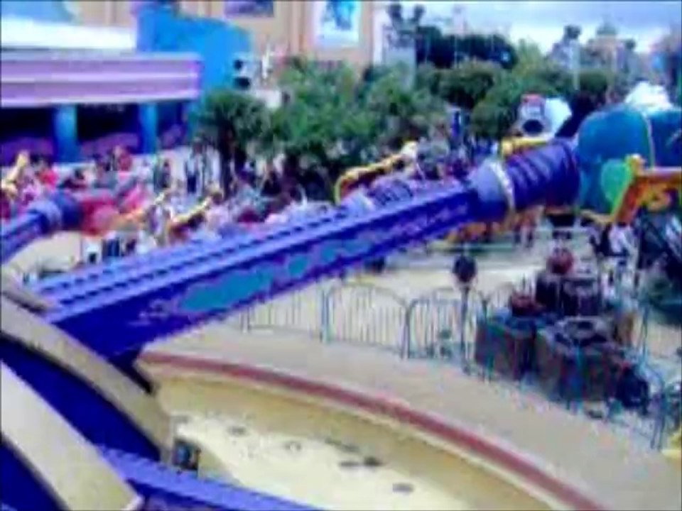 One Direction in Orlando Concours Purebreak