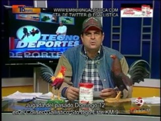 PROGRAMA-TECNODEPORTES-14-10-2014-RESUMEN-COLISEO-STO.DGO.ESTE-EL9