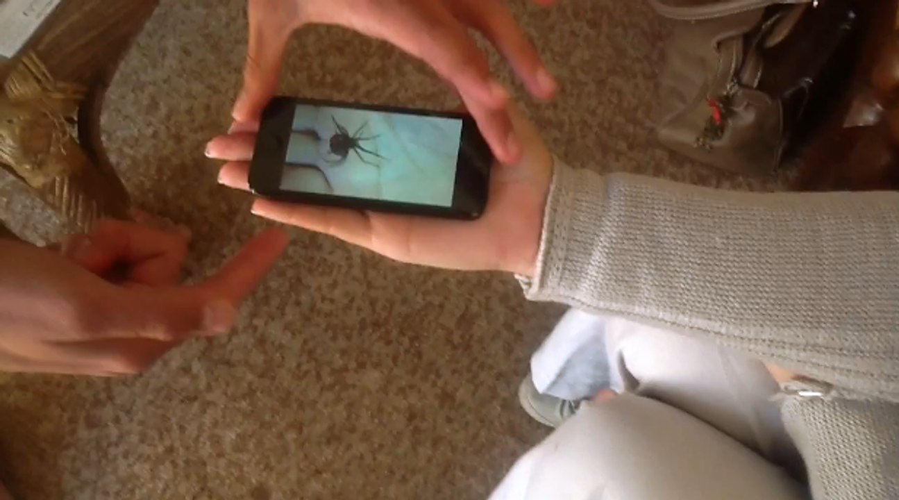 Cep Telefonu ile Yapılan İlginç Gösteri