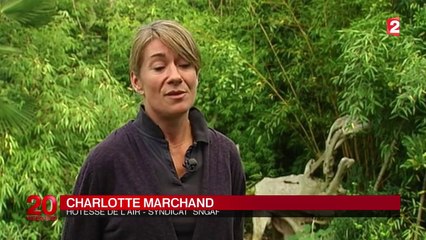 Ebola : l'inquiétude du personnel navigant d'Air France