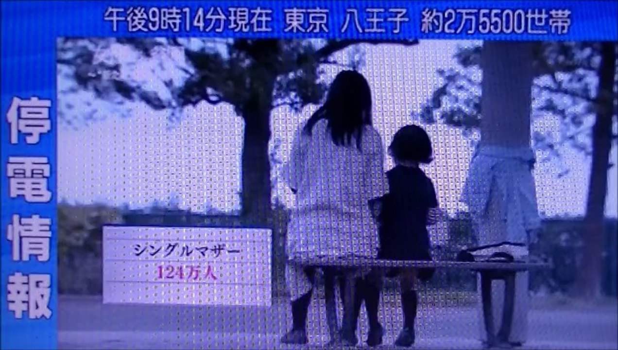 NHK 2014　日本女性　非正規雇用　貧困 の連鎖 : 自民党や経団連が無視する　” 美しい日本 ” の 醜い現実　