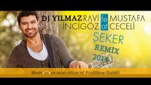 DJ Yılmaz Ravi İncigöz feat. Mustafa Ceceli - Şeker(REMİX)2014
