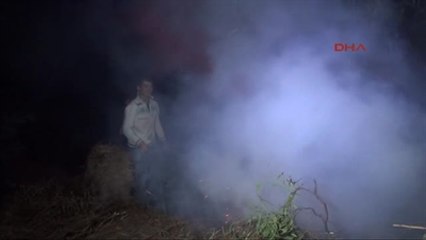 Seydikemer'de Orman Yangını