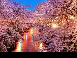 اجمل موسيقى فى العالم