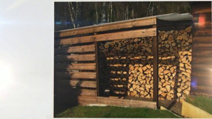 How to Detect and Control Termites in Your House