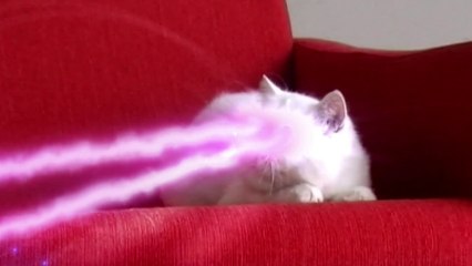 Maisons du Monde : Soyez fous Soyez vous "UNIVERS"