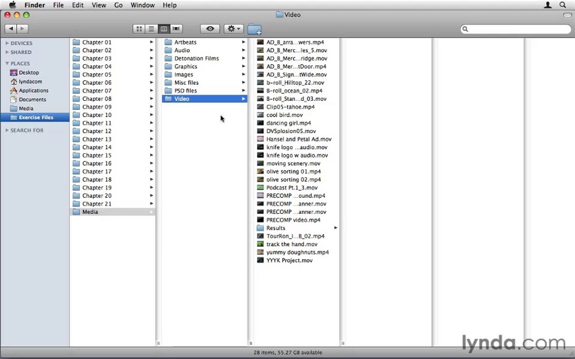 0103 How to use the exercise files