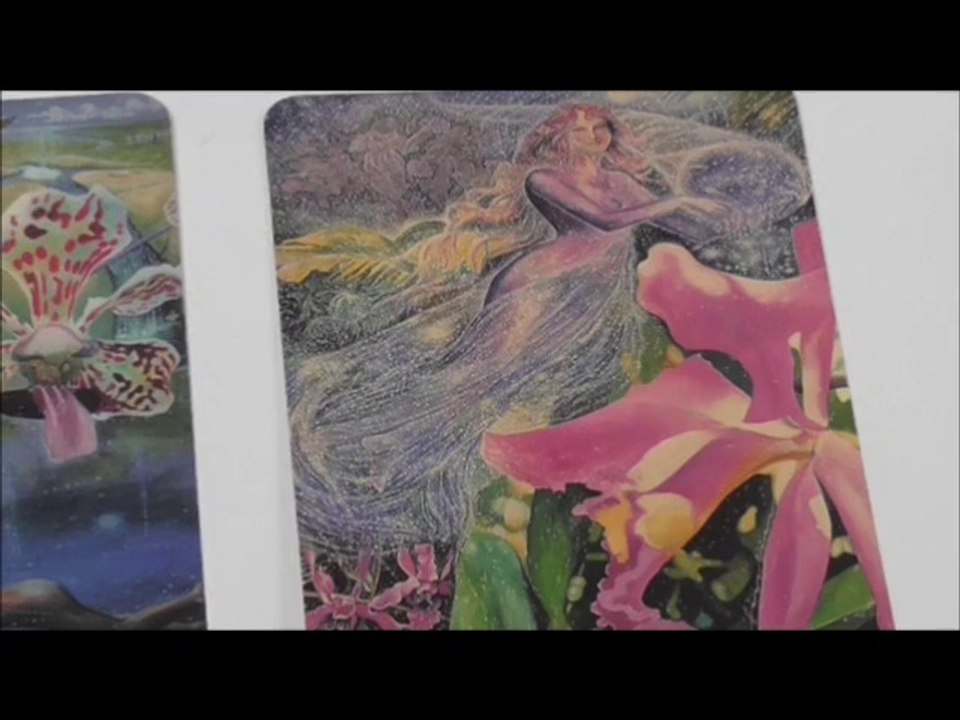 Wochenrakel bis zum 26.10.14 | Liebesorakel | Karmaorakel | Geldorakel