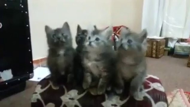 VID-20141014-WA0000.mp4