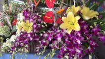Thị trường hoa ngày phụ nữ Việt Nam 20-10